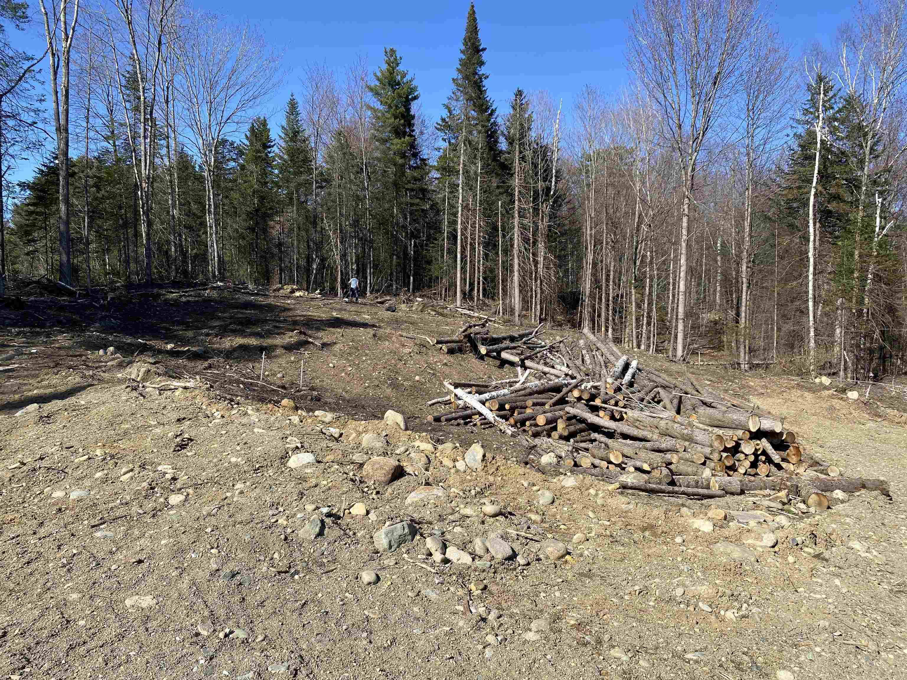 0 Camp Road, Unit 5 Eden, VT 05653 - Photo 8 of 17