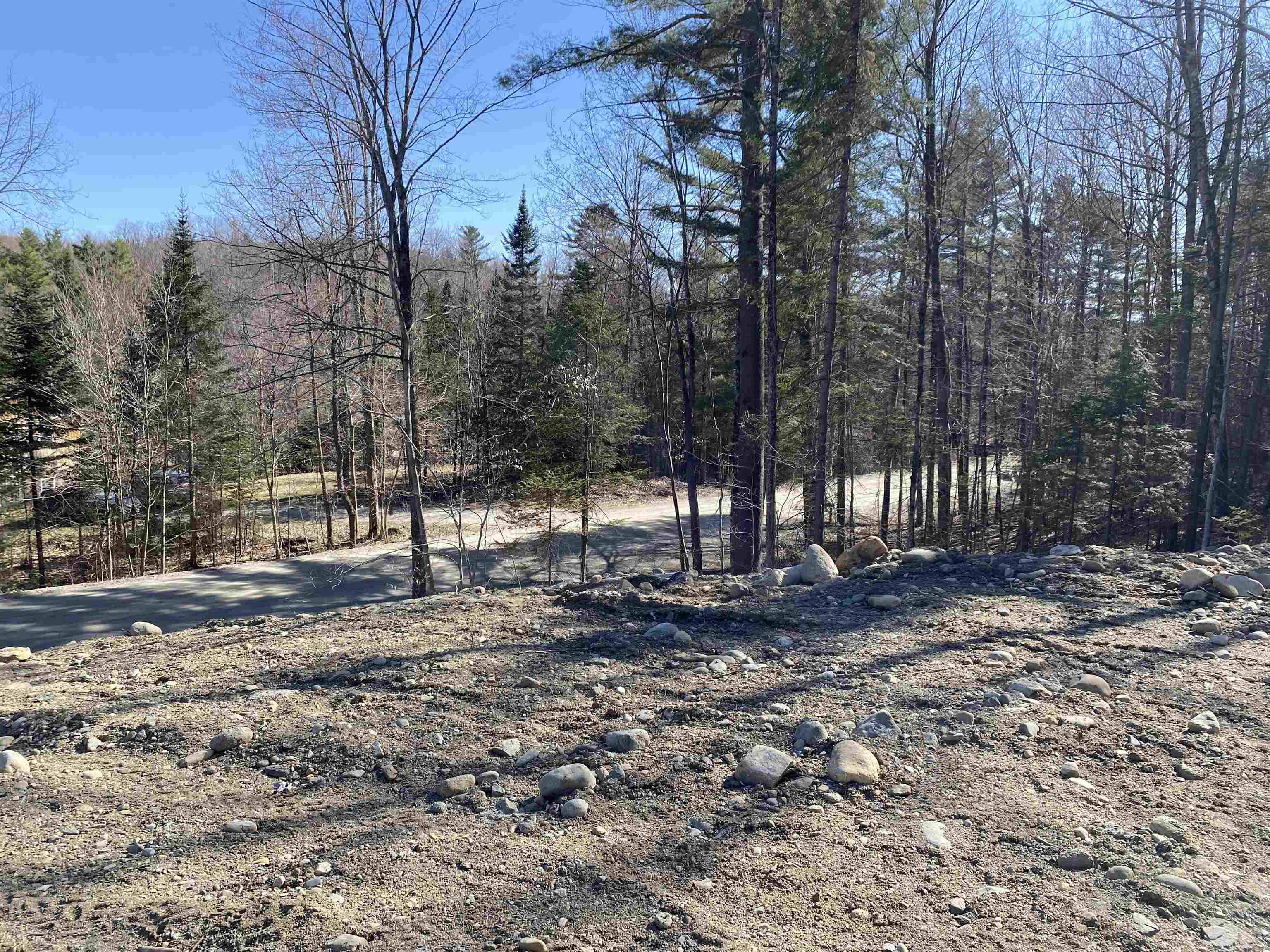 0 Camp Road, Unit 5 Eden, VT 05653 - Photo 9 of 17