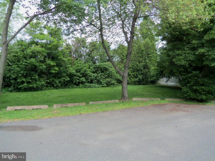 254 Ewingville Road Ewing, NJ 08638 - Photo 3 of 15 Back Yard