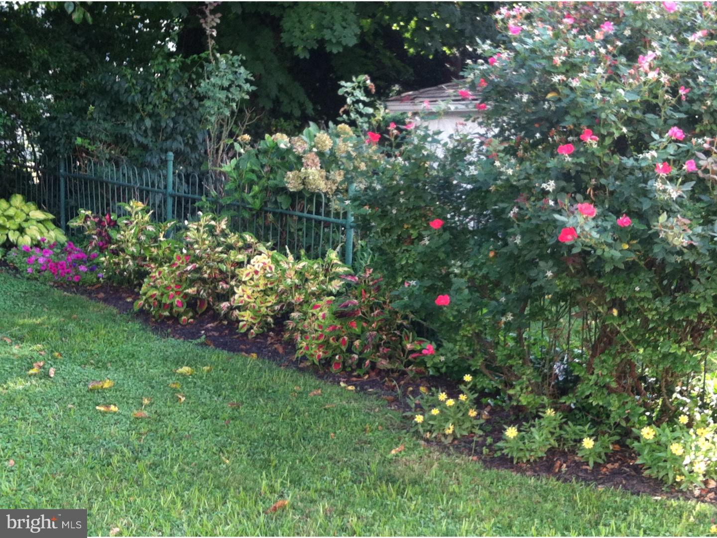623 Arbor Road Cheltenham, PA 19012 - Photo 25 of 25 Back Yard