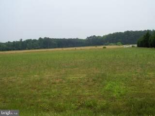 Lot #1 Hunting Hound Road Berlin, MD 21811 - Photo 3 of 3 Gallery Image 3
