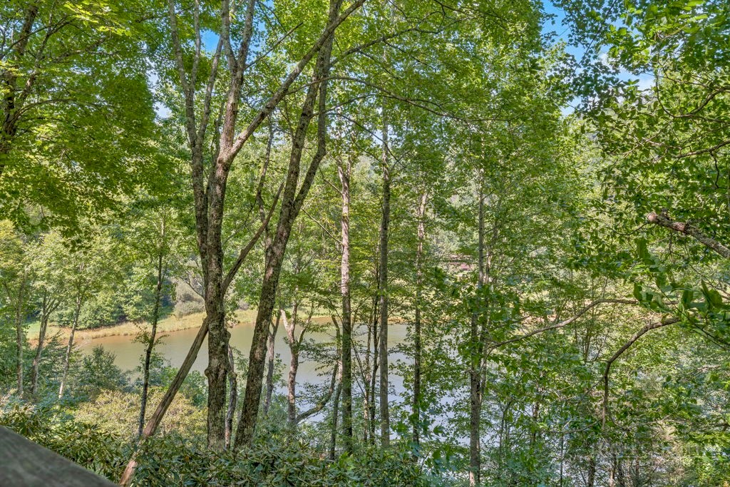 267 Streamside Lane Seven Devils, NC 28604 - Photo 19 of 42 Gallery Image 19
