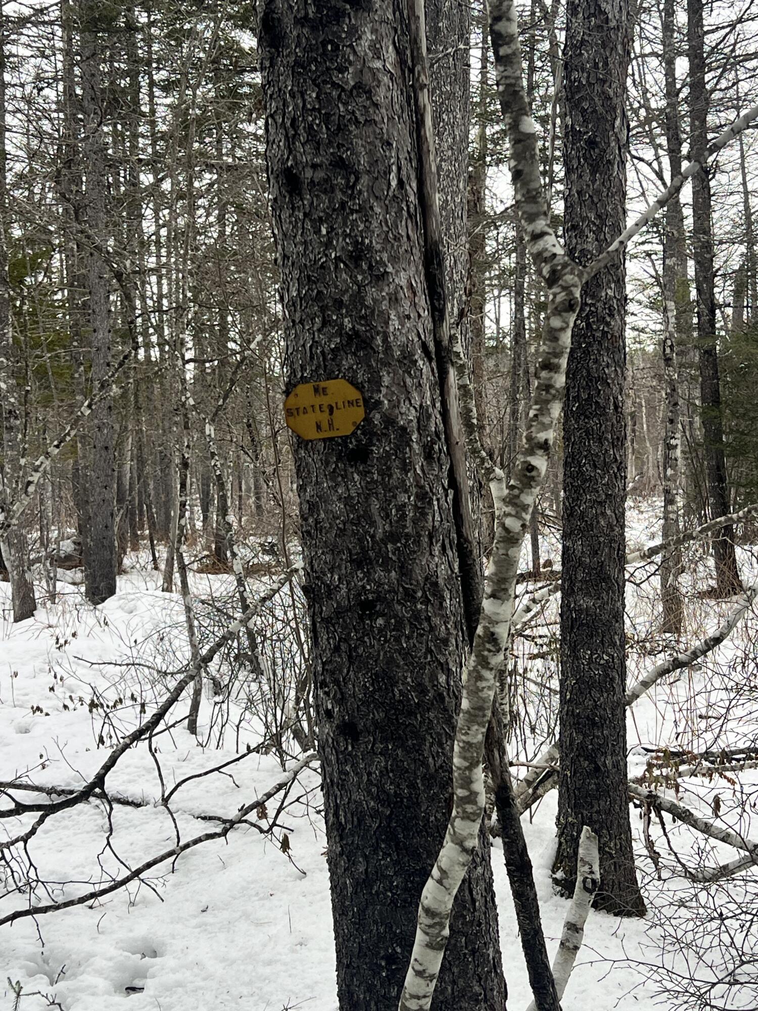 Lot 3 Map 5 Stow, ME 04037 - Photo 2 of 7 IMG_4577