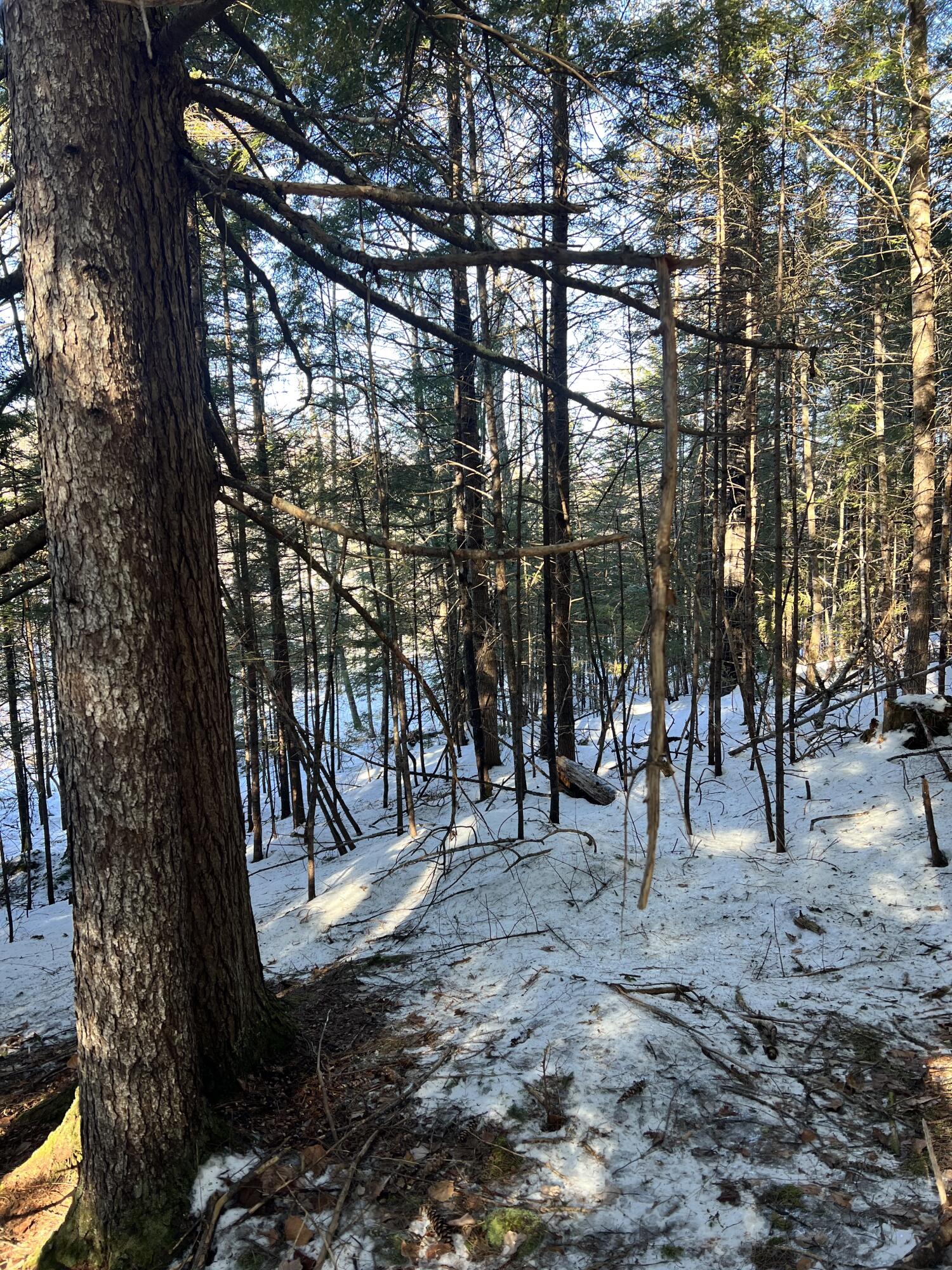 Lot 3 Map 5 Stow, ME 04037 - Photo 3 of 7 IMG_4832