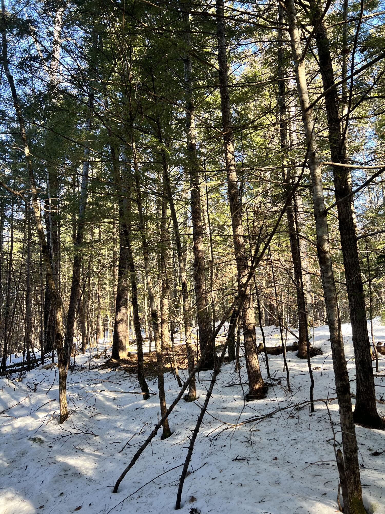 Lot 3 Map 5 Stow, ME 04037 - Photo 4 of 7 IMG_4833