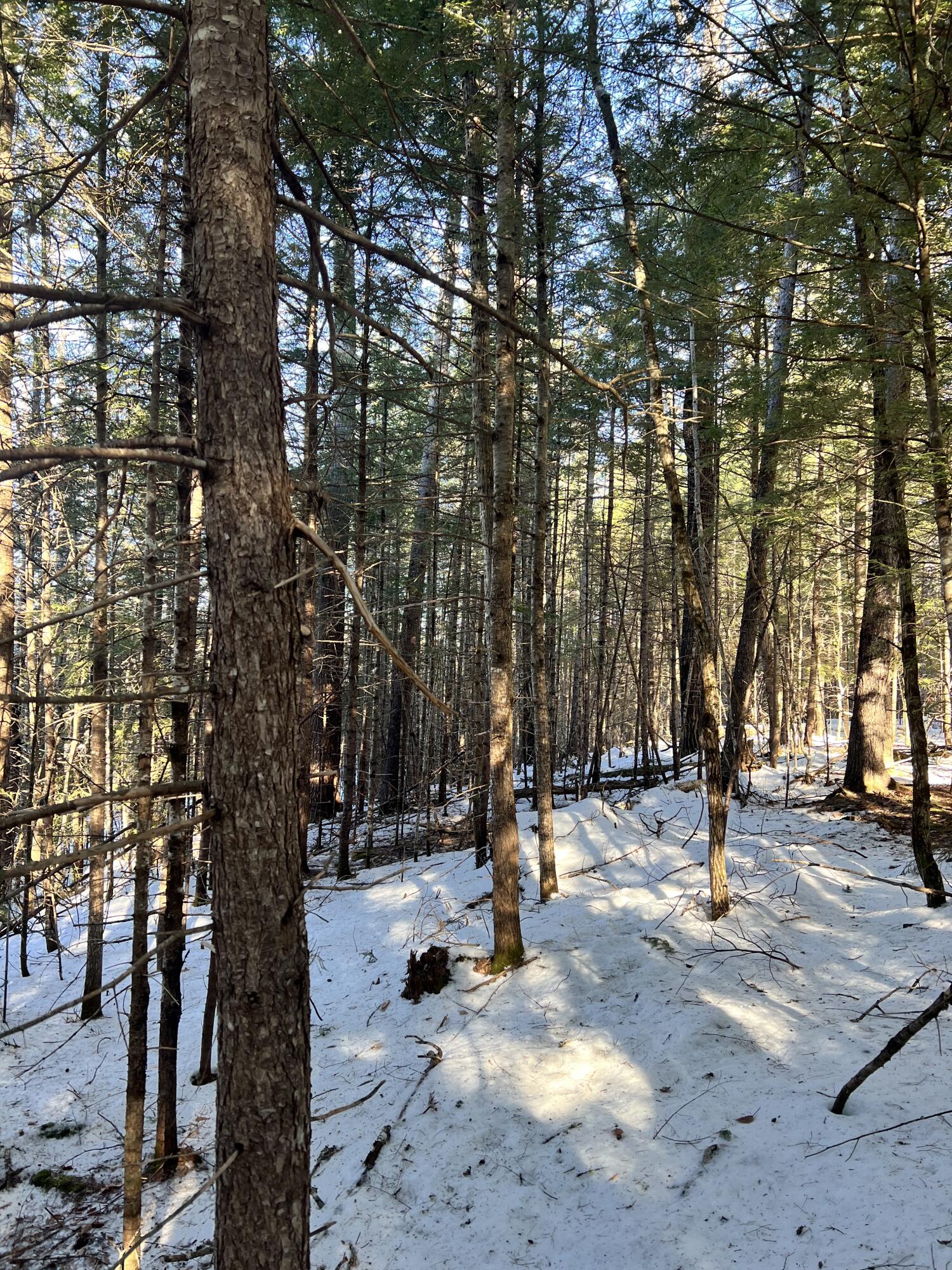 Lot 3 Map 5 Stow, ME 04037 - Photo 5 of 7 IMG_4834