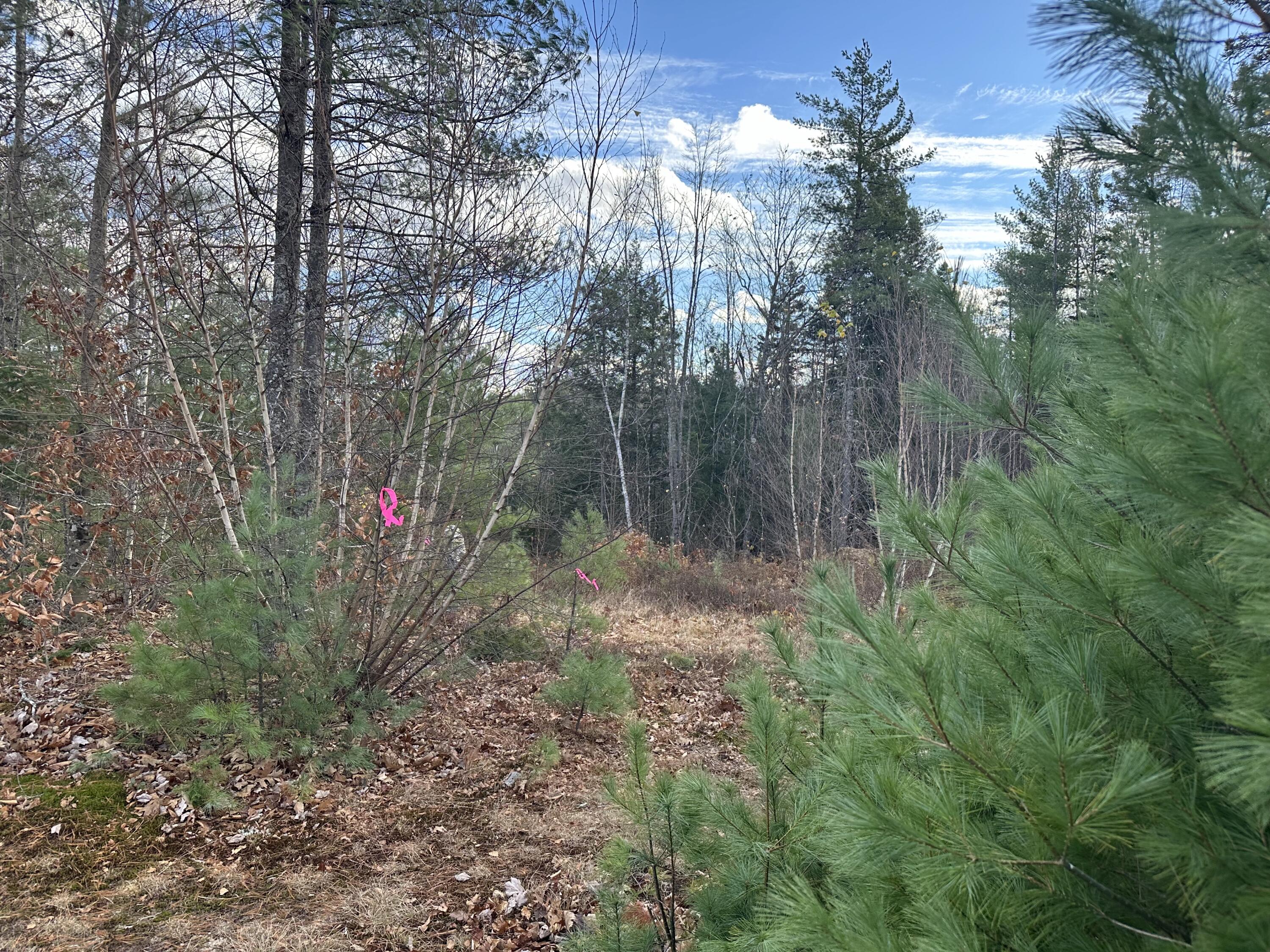 Lot 3 Map 5 Stow, ME 04037 - Photo 6 of 7 IMG_9471-preview 2