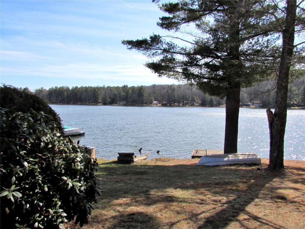 214 Beaver Lake Circle Windsor, NY 13865 - Photo 4 of 27