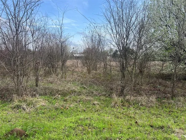 a view of a yard