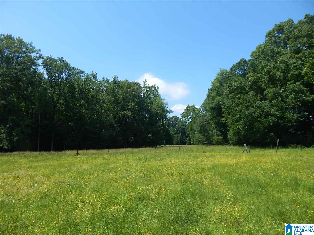 417 Old Stagecoach Road Woodstock, AL 35188 - Photo 12 of 17