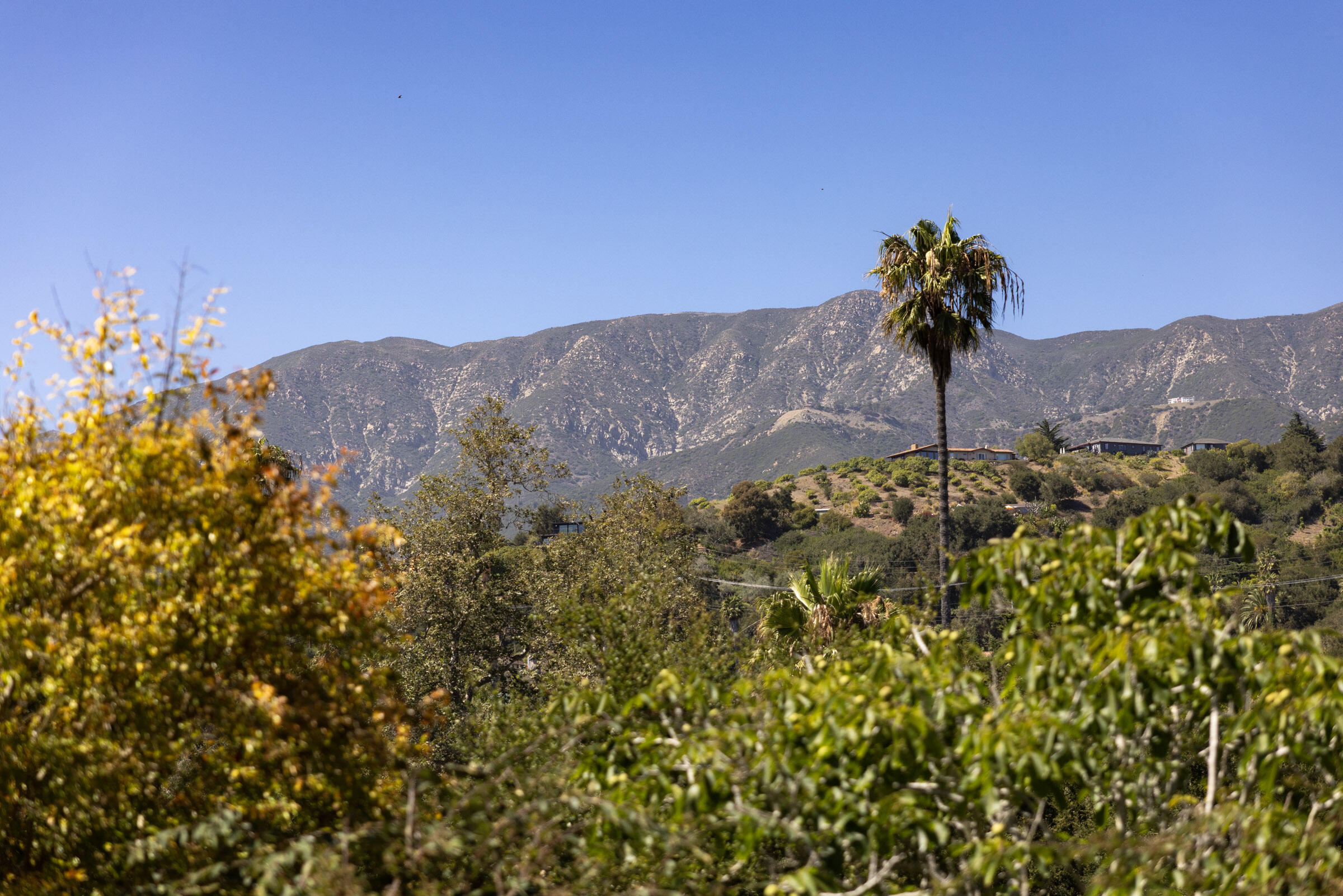 270 Toro Canyon Road Carpinteria, CA 93013 - Photo 15 of 22 Tranquil Setting