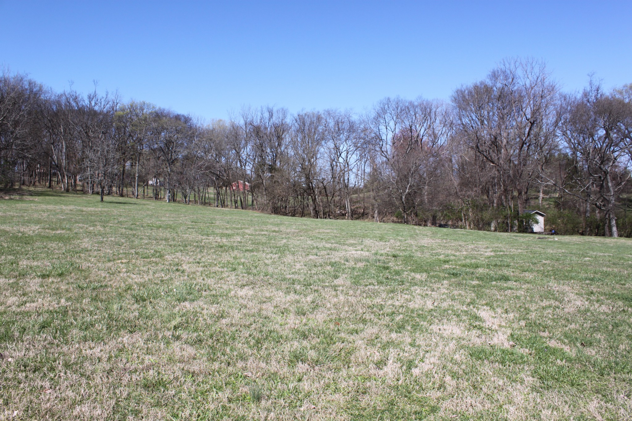 4264 Warren Road Franklin, TN 37067 - Photo 35 of 49 a view of a field with trees in the background