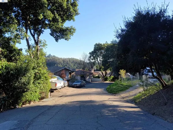 a view of a park with large trees