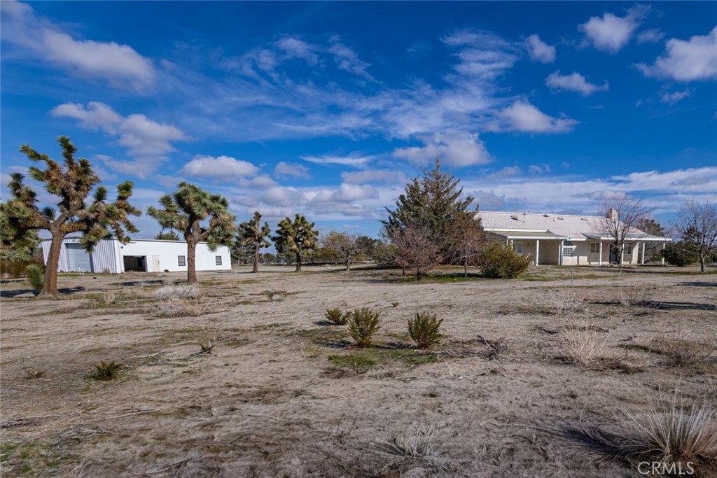 12384 Redwood Road Pinon Hills, CA 92372 - Photo 28 of 35 a view of a dry yard with trees