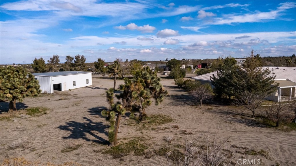12384 Redwood Road Pinon Hills, CA 92372 - Photo 4 of 35 a view of a yard in front of the house