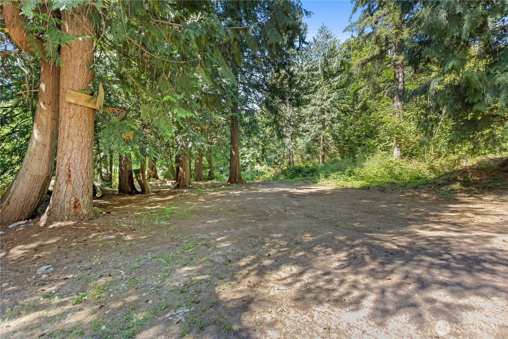 19226 220th Street Southeast Monroe, WA 98272 - Photo 2 of 8 a view of outdoor space and yard