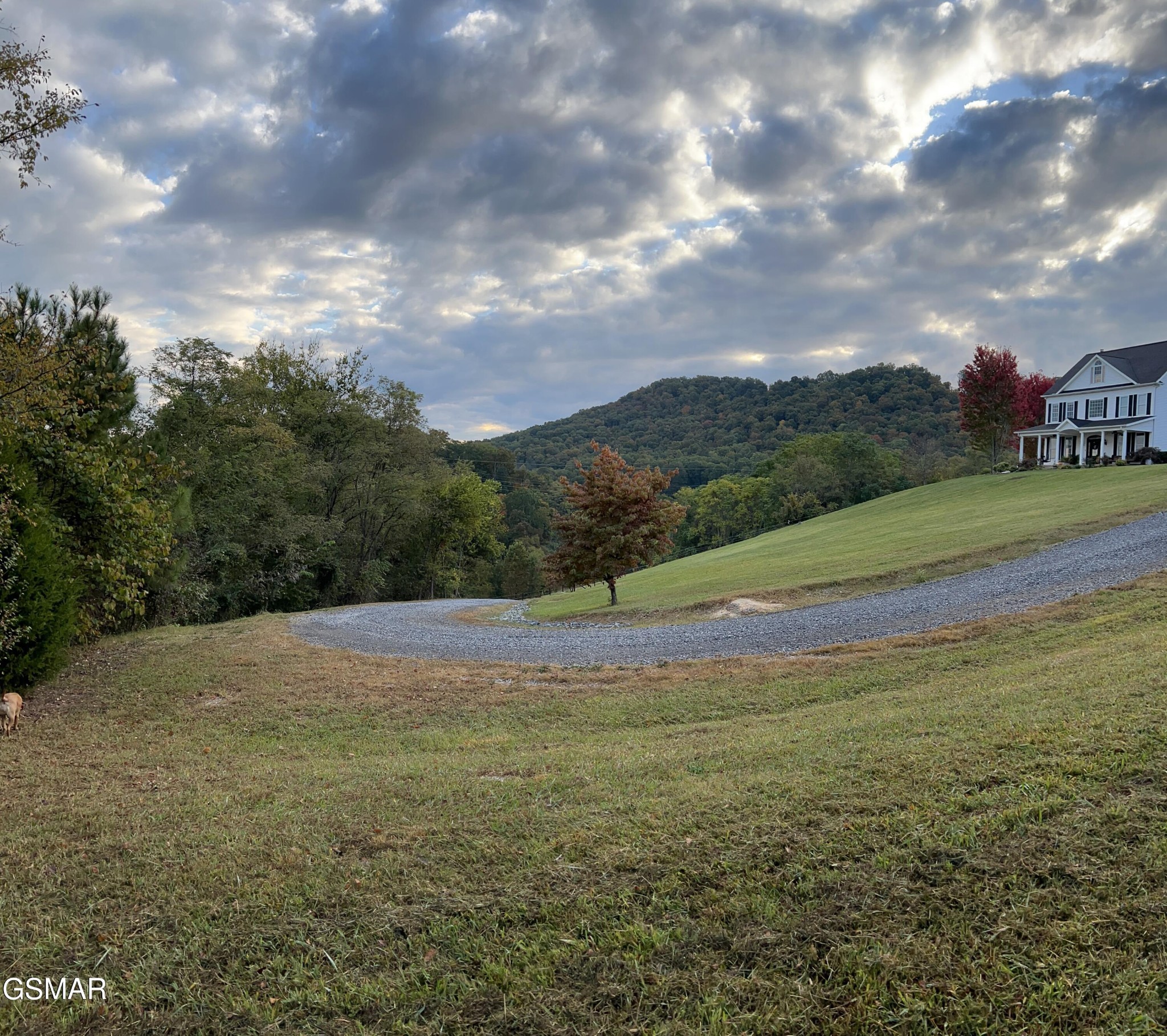 374 Doane Road New Market, TN 37820 - Photo 10 of 83 Gallery Image 10