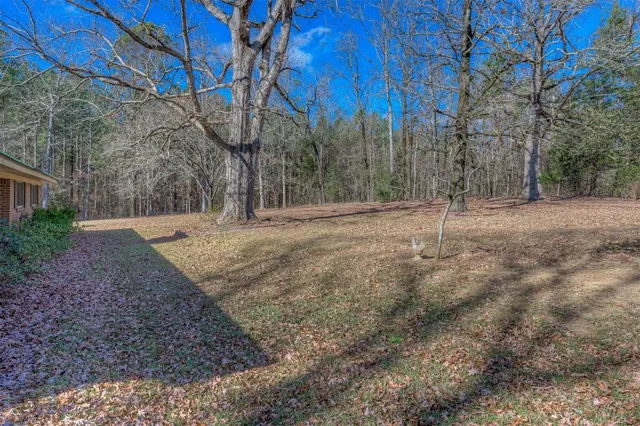a backyard of apartments with large trees