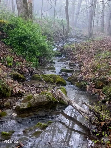 $249,997 | 2402 Hickory Hill Road, Blackwater, VA 24221