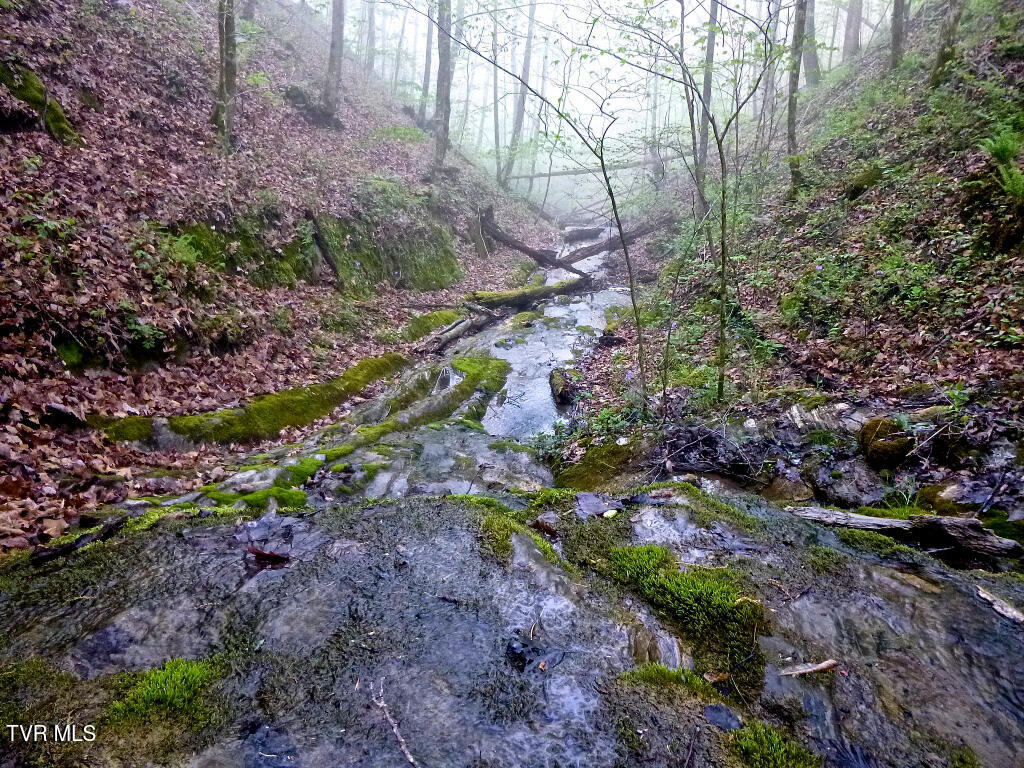 2402 Hickory Hill Road Blackwater, VA 24221 - Photo 20 of 28 20