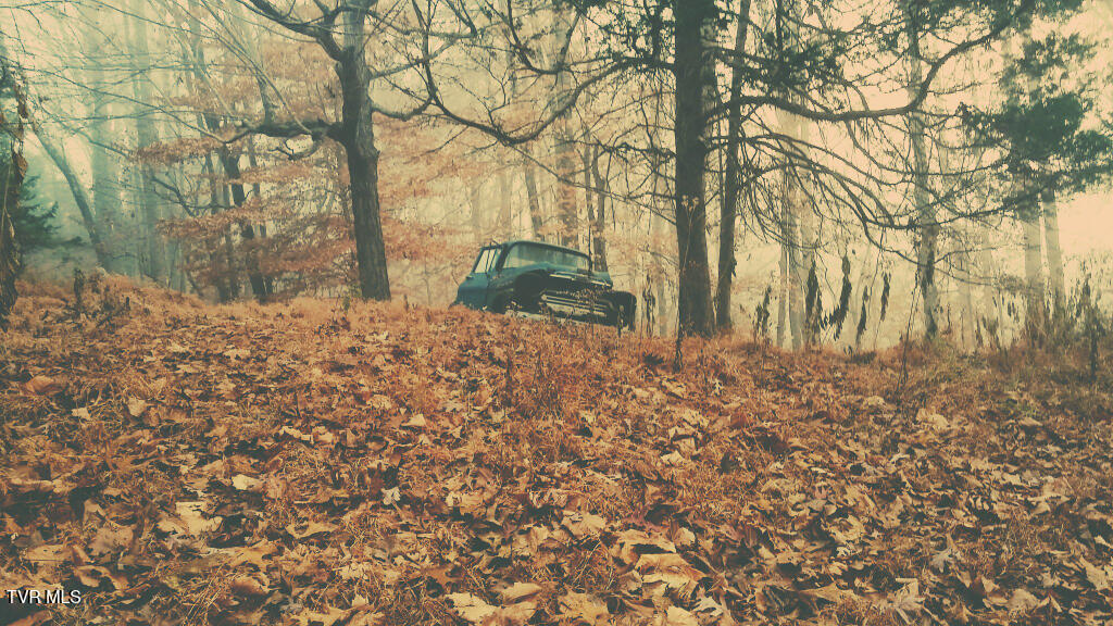 2402 Hickory Hill Road Blackwater, VA 24221 - Photo 21 of 28 22