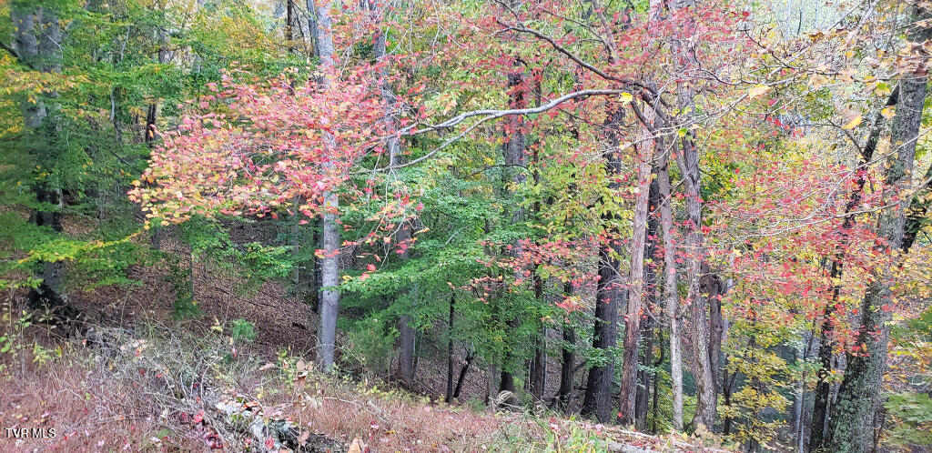 2402 Hickory Hill Road Blackwater, VA 24221 - Photo 23 of 28 24