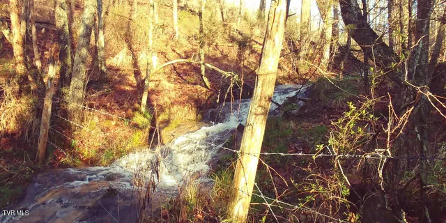 $249,997 | 2402 Hickory Hill Road, Blackwater, VA 24221