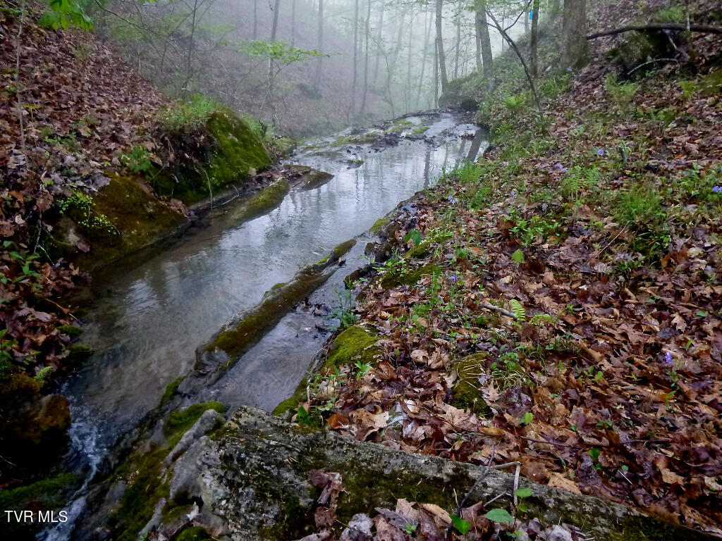 2402 Hickory Hill Road Blackwater, VA 24221 - Photo 26 of 28 28