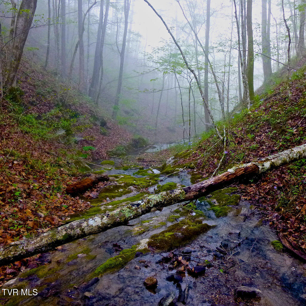 2402 Hickory Hill Road Blackwater, VA 24221 - Photo 27 of 28 29