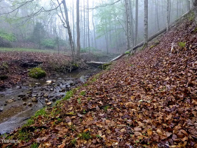 $249,997 | 2402 Hickory Hill Road, Blackwater, VA 24221