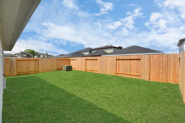 a view of a backyard with plants and a large tree