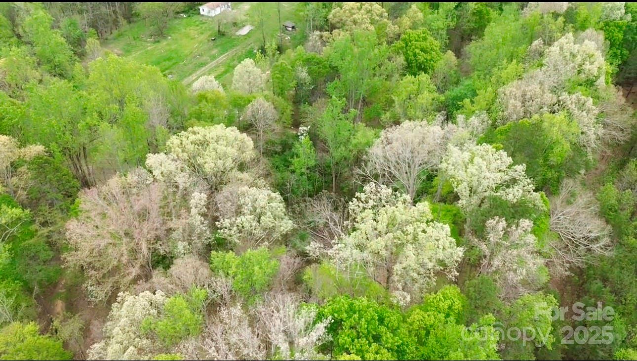 181 Canipe Road Dallas, NC 28034 - Photo 26 of 45 Gallery Image 26