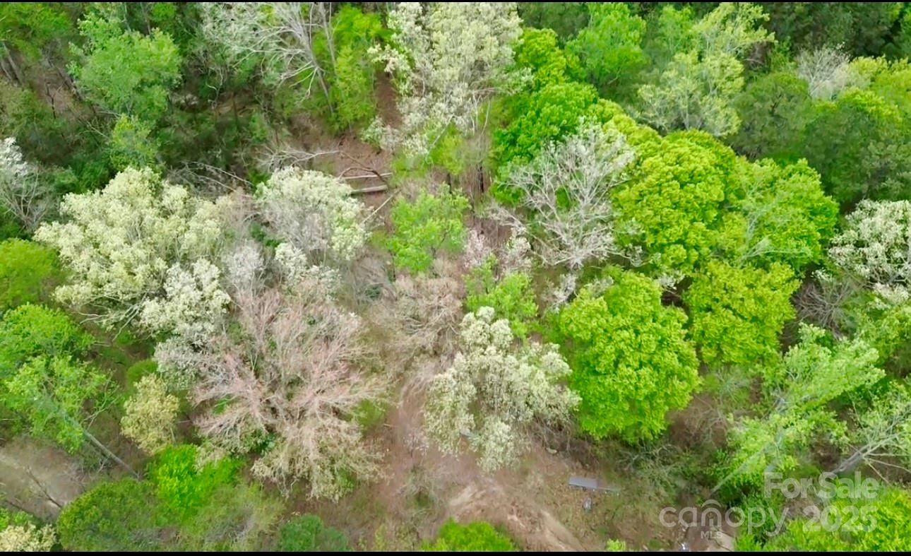 181 Canipe Road Dallas, NC 28034 - Photo 34 of 45 Gallery Image 34