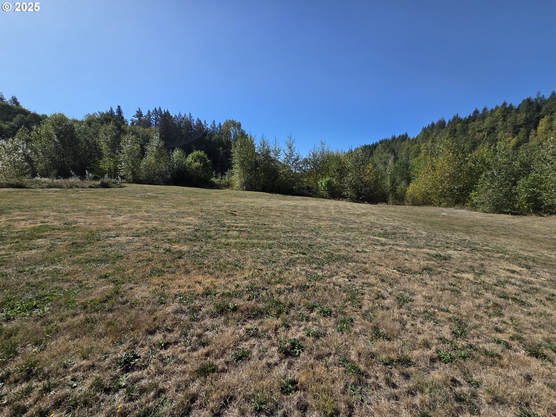 510 Temple Road Toutle, WA 98649 - Photo 9 of 29 Gallery Image 9