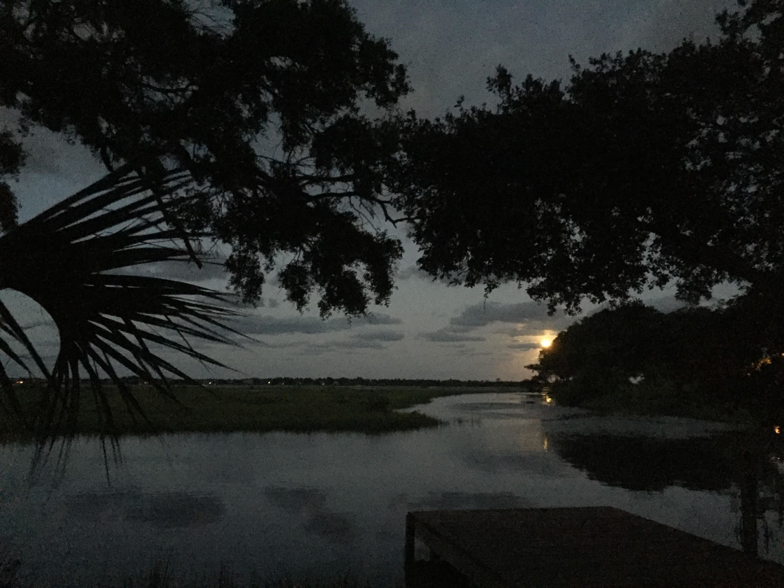143 Egret Road St. Augustine, FL 32086 - Photo 53 of 55