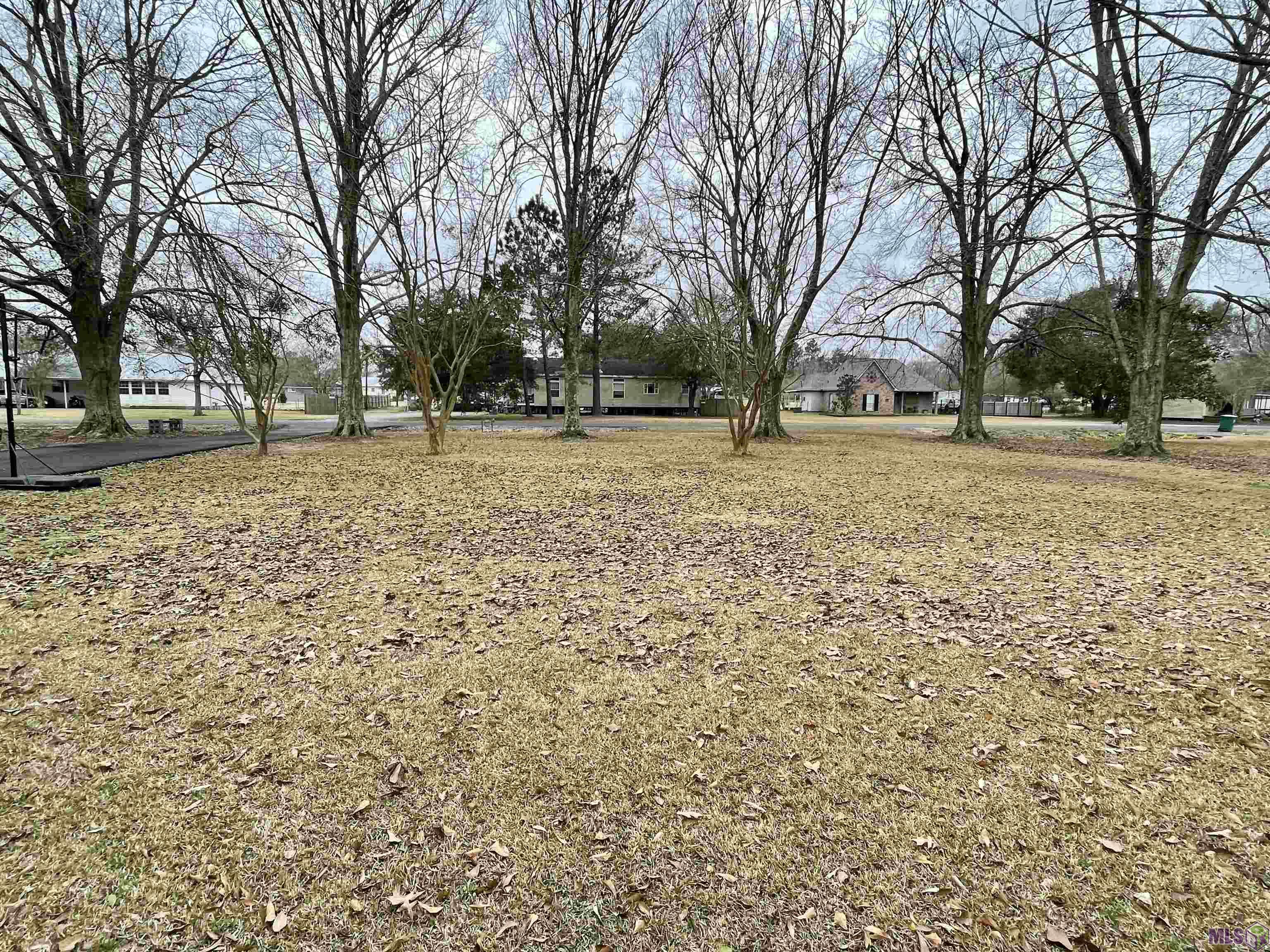 38526 Charleston Road Prairieville, LA 70769 - Photo 1 of 6 Front to Road