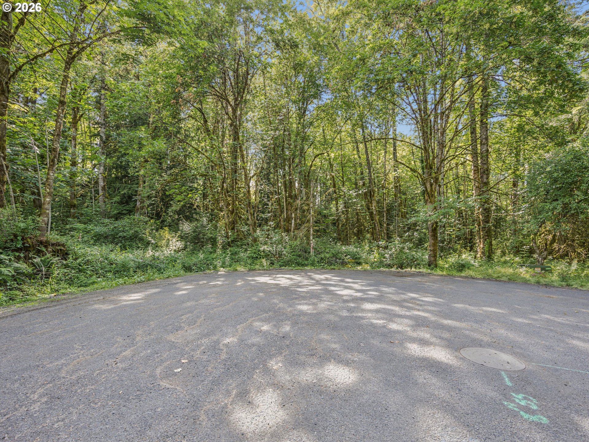 64601 East Brightwood Loop Road Brightwood, OR 97011 - Photo 8 of 48