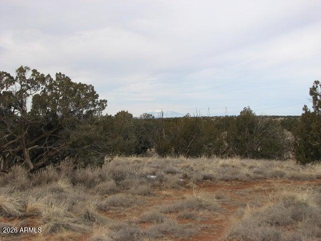 98-99 Chevelon Canyon Ranch, Unit 98 & 99 Heber, AZ 85928 - Photo 3 of 13 a view of a dry yard with trees