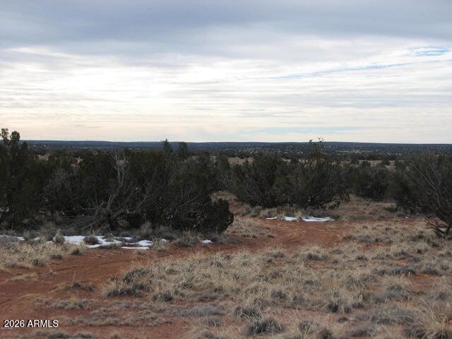 98-99 Chevelon Canyon Ranch, Unit 98 & 99 Heber, AZ 85928 - Photo 5 of 13 a view of an outdoor space with mountain view