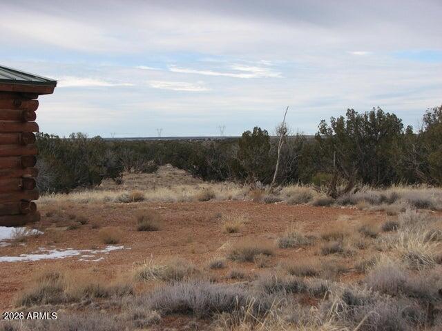 98-99 Chevelon Canyon Ranch, Unit 98 & 99 Heber, AZ 85928 - Photo 7 of 13 a view of a dry yard with wooden fence