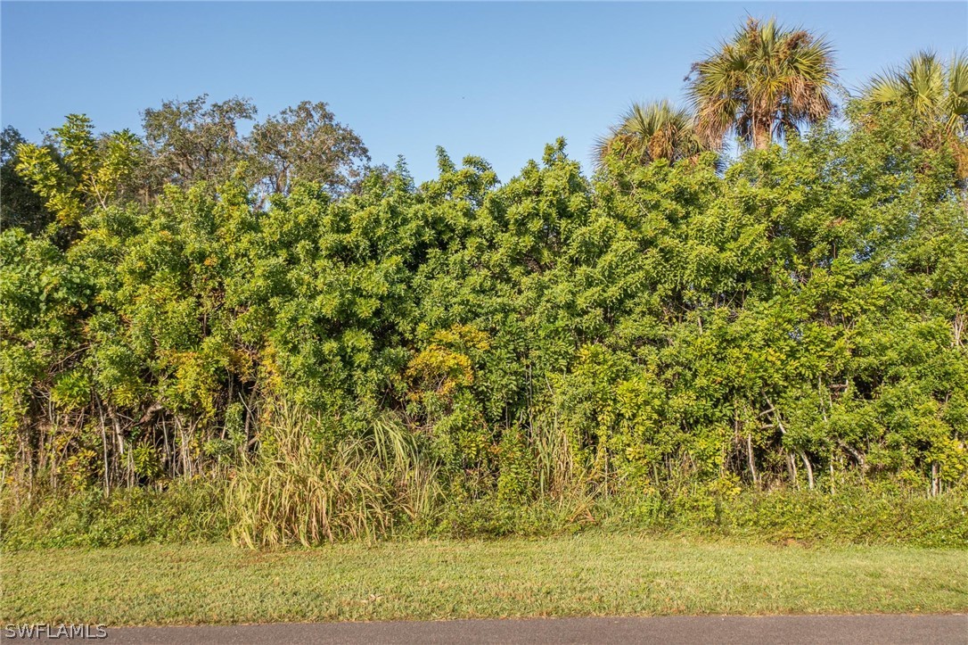 2160 Safe Harbour Court Alva, FL 33920 - Photo 11 of 13 a view of a yard