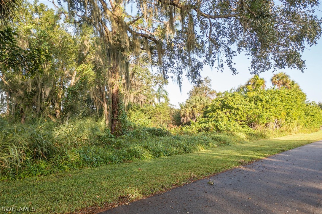 2160 Safe Harbour Court Alva, FL 33920 - Photo 12 of 13 a view of a yard with a tree
