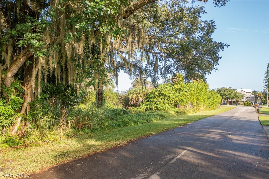 2160 Safe Harbour Court Alva, FL 33920 - Photo 13 of 13 a view of a yard and an trees