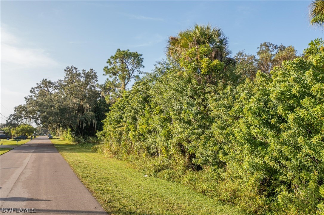 2160 Safe Harbour Court Alva, FL 33920 - Photo 10 of 13 a view of a yard with plants