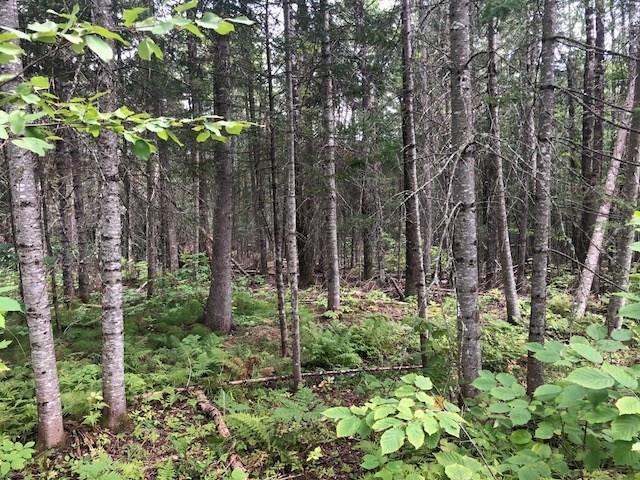 5 Wallingford Road West Forks, ME 04985 - Photo 22 of 26 Photo
