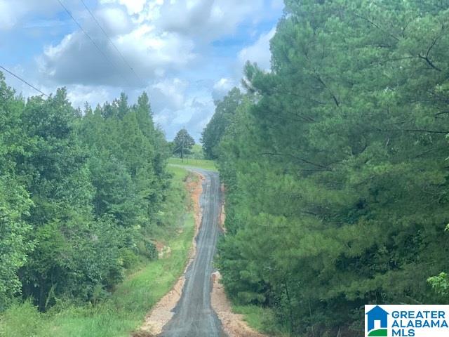 427 Mitchell Young Farm Road West Blocton, AL 35184 - Photo 8 of 12