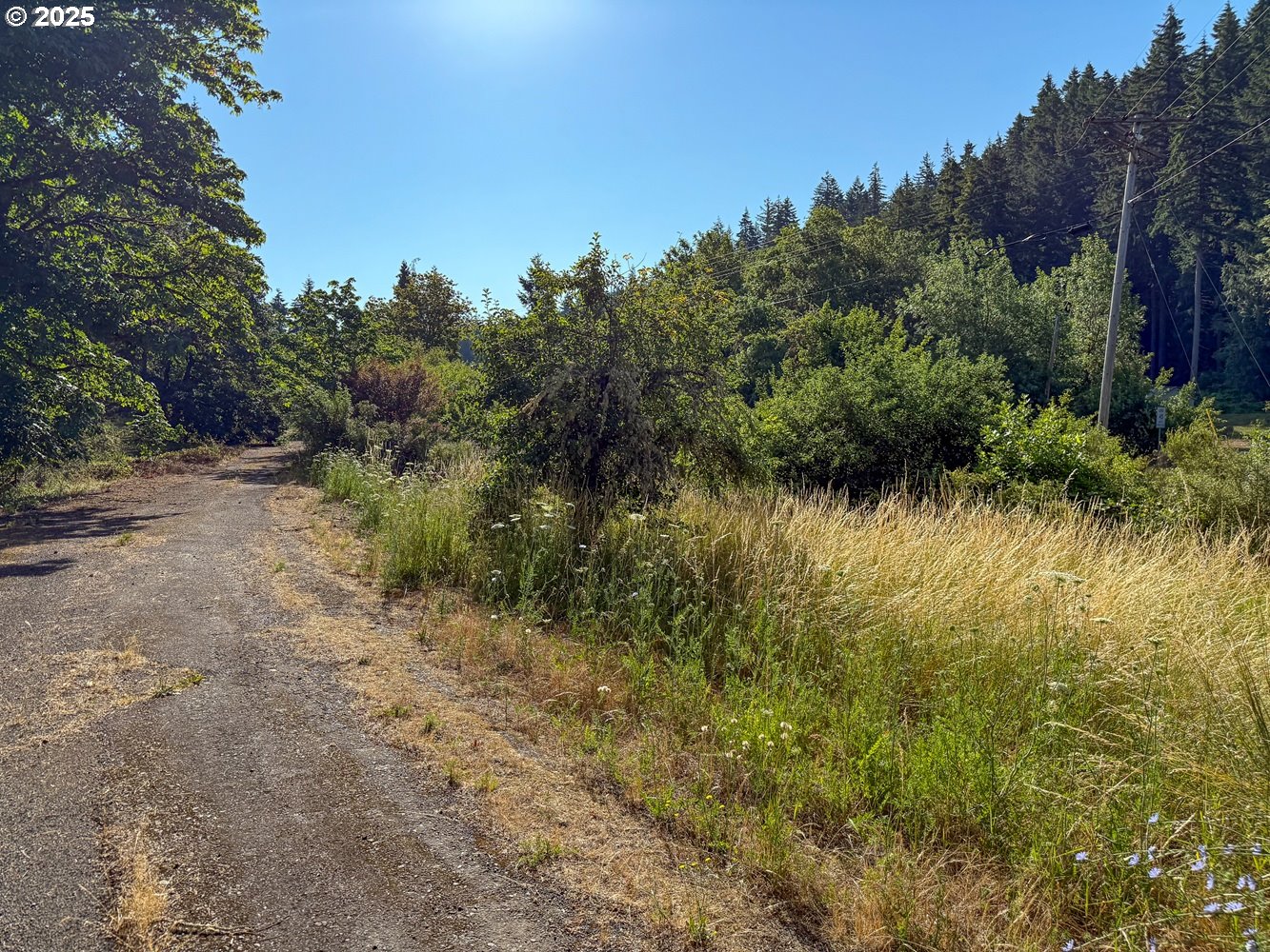Row River Road Dorena, OR 97434 - Photo 8 of 17