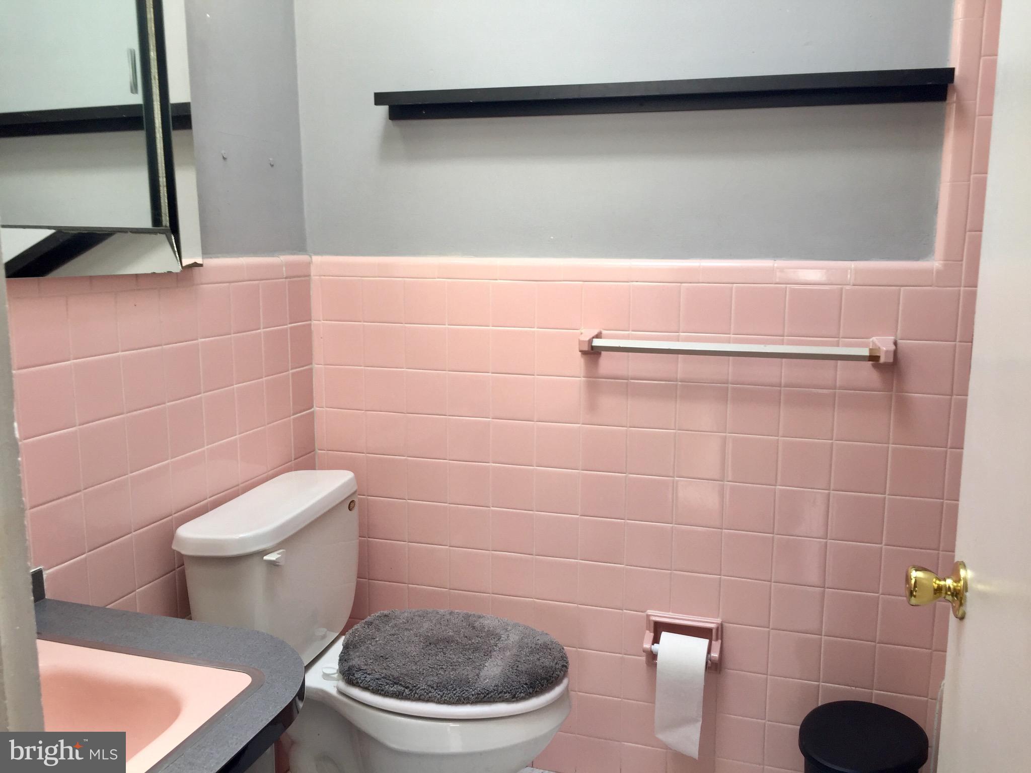 583 Wanamaker Road Jenkintown, PA 19046 - Photo 19 of 46 Hall Bath