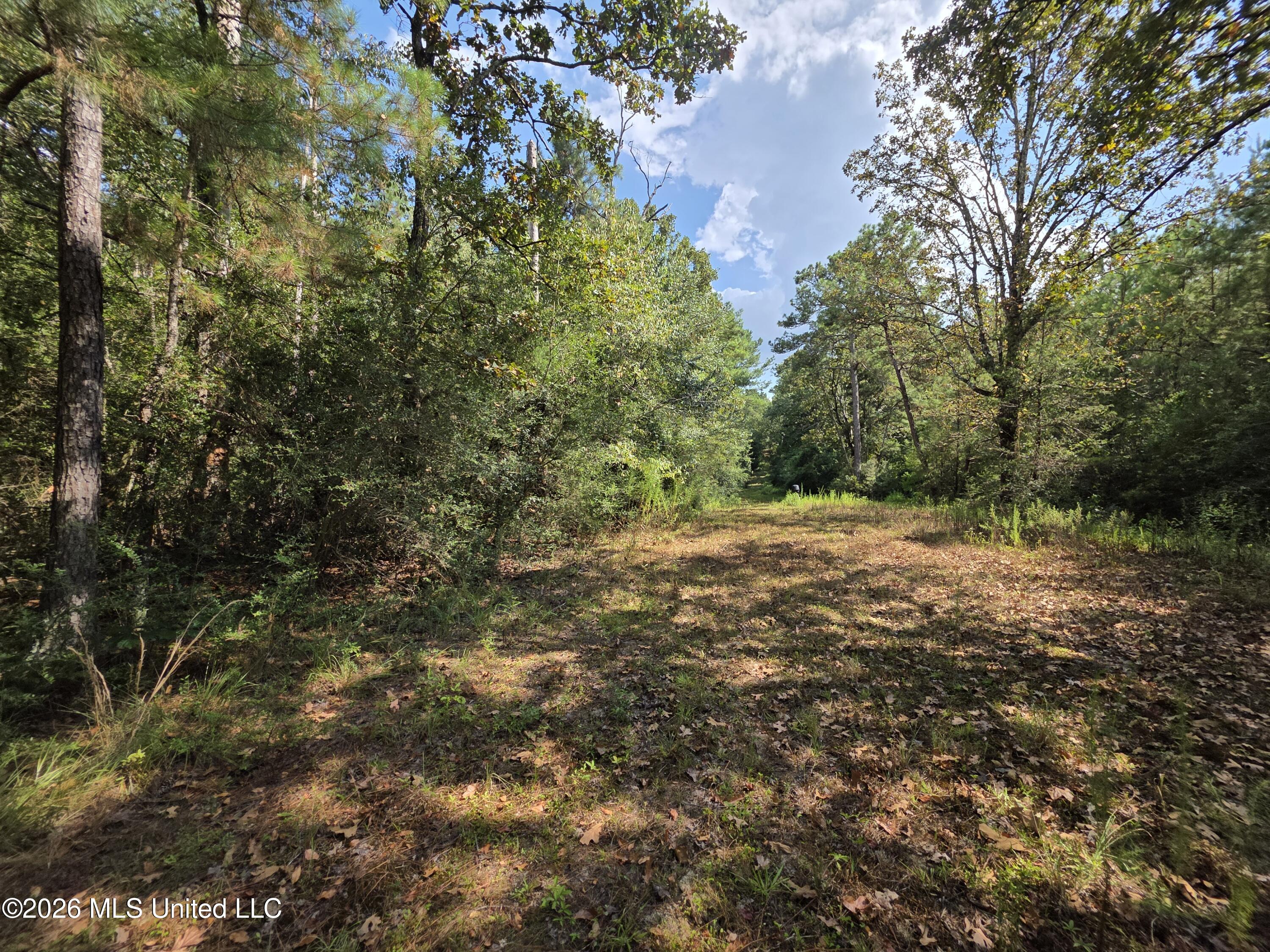 325 Double Ponds Road Prentiss, MS 39474 - Photo 28 of 43 39373