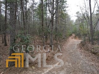 Lt 3-4 Double Springs Road Young Harris, GA 30582 - Photo 1 of 1 Gallery Image 1